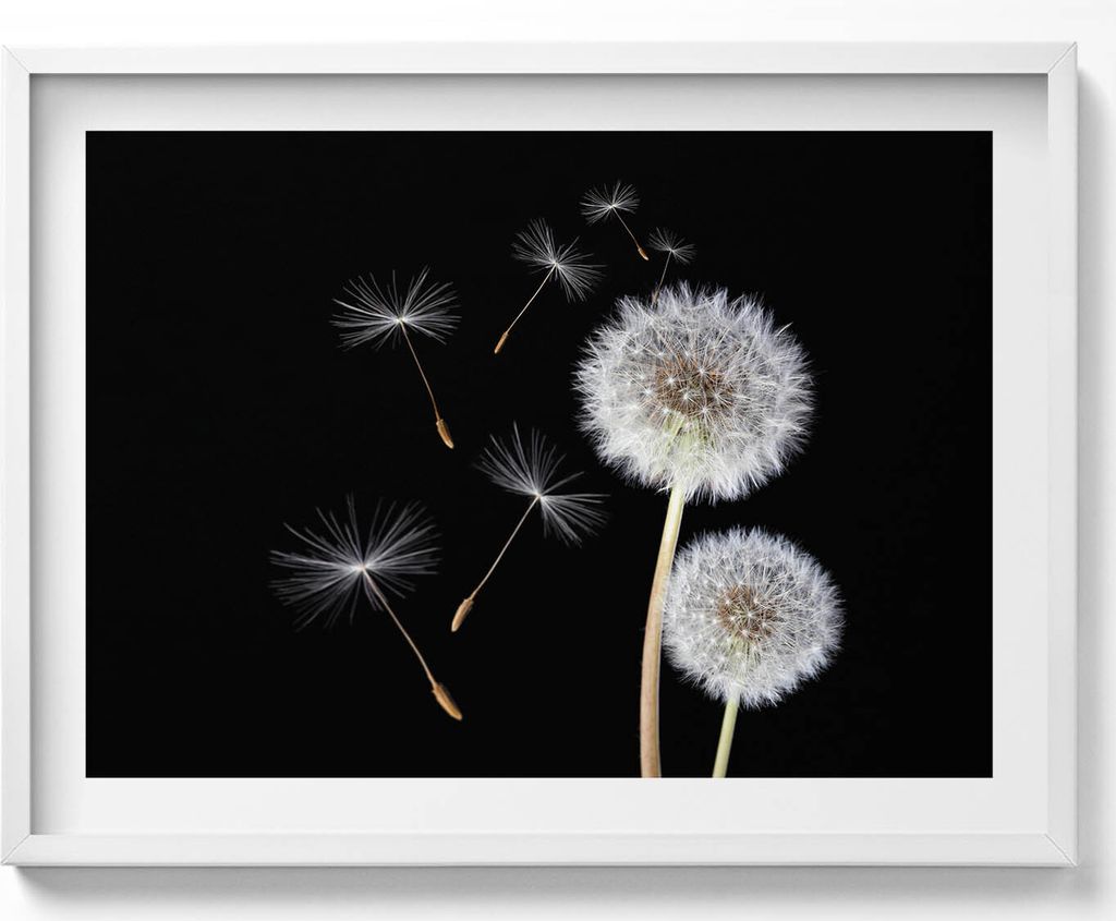 Zwei Hüpfburgen– Wandbild mit Rahmen – Gerahmtes Bild – Wanddekoration – 80x60 cm – Weiß Rahmen