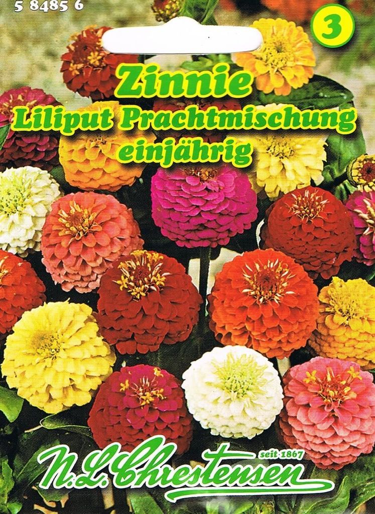Zinnie Liliput PrachtMischung | Zinniensamen von N.L. Chrestensen