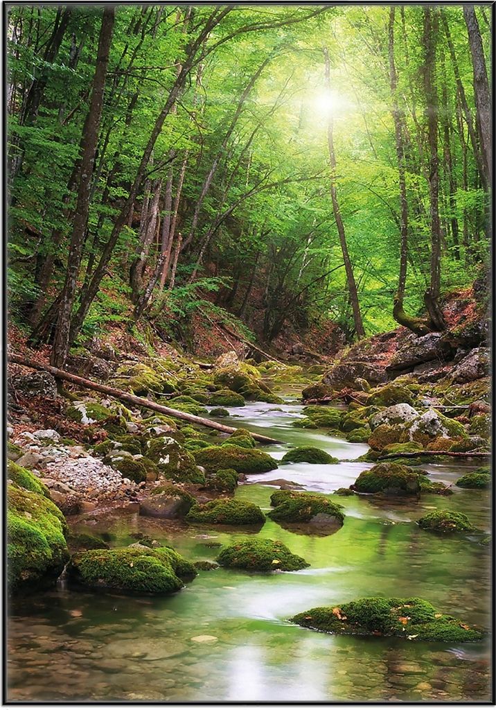 Wallario Wandbild Fluss im Wald, Größe: 70,30 x 100,30 cm, Poster mit schwarzem Aluminiumrahmen