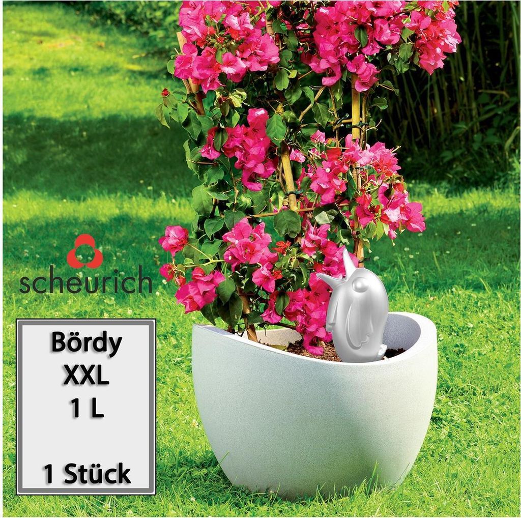 Scheurich Wasserspender Bördy XXL | 1x Champagne | 1000 ml Füllmenge | Bewässerungskugel klein mit Ton Fuß | Wasserspender Pflanzen und Blumen ...