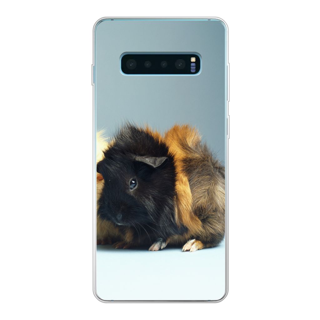 MuchoWow Handyhülle Schutzhülle Hülle für Samsung Galaxy S10 Plus Zwei kleine Meerschweinchen Silikon Softcase Handy Hülle - Schutzhülle