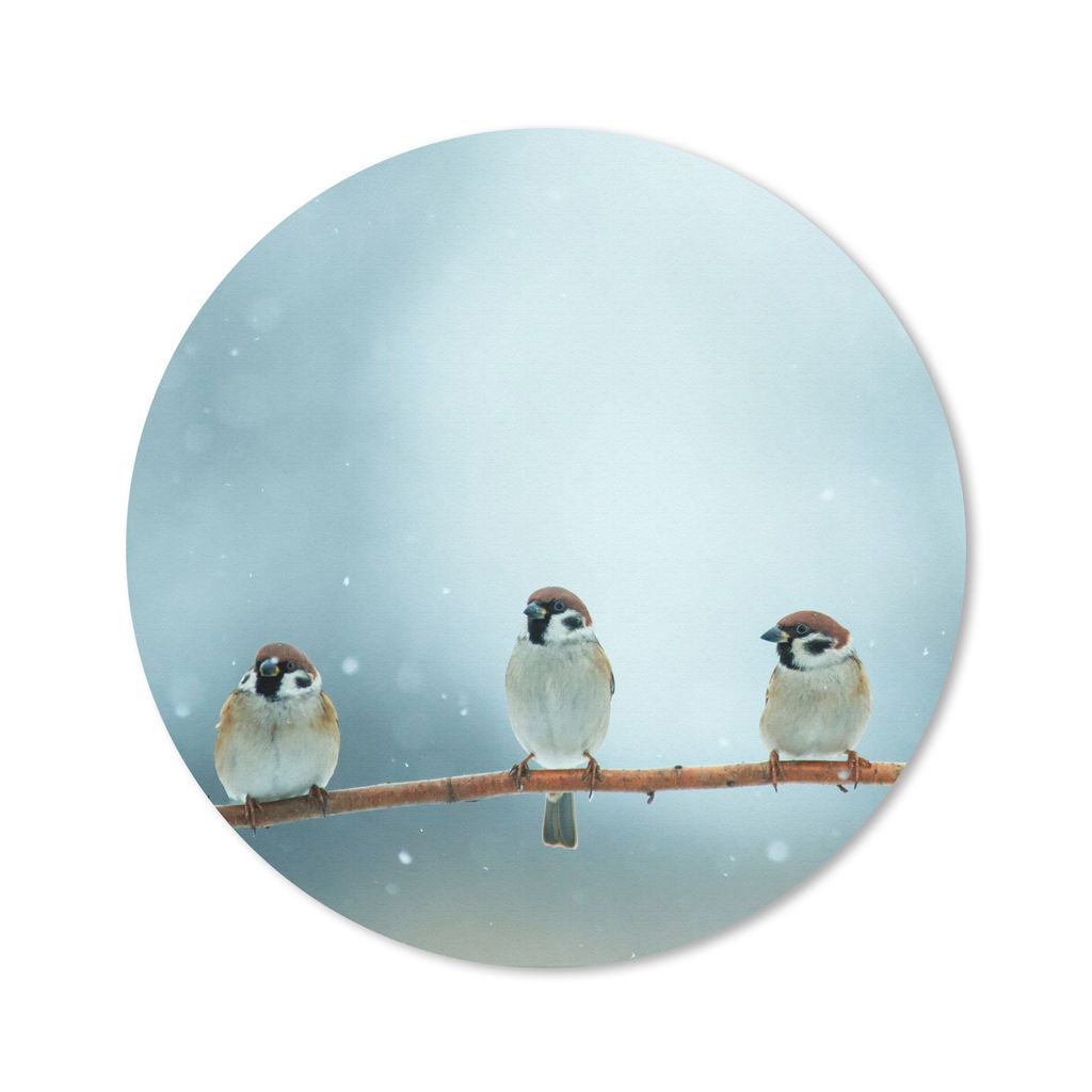 MuchoWow Mauspad Mousepad Vögel - Spatz - Schnee - Winter 30x30 cm - Mousepads - Maus Mat - Pad - Mausunterlage - Tischunterlage - Schreibtischm...