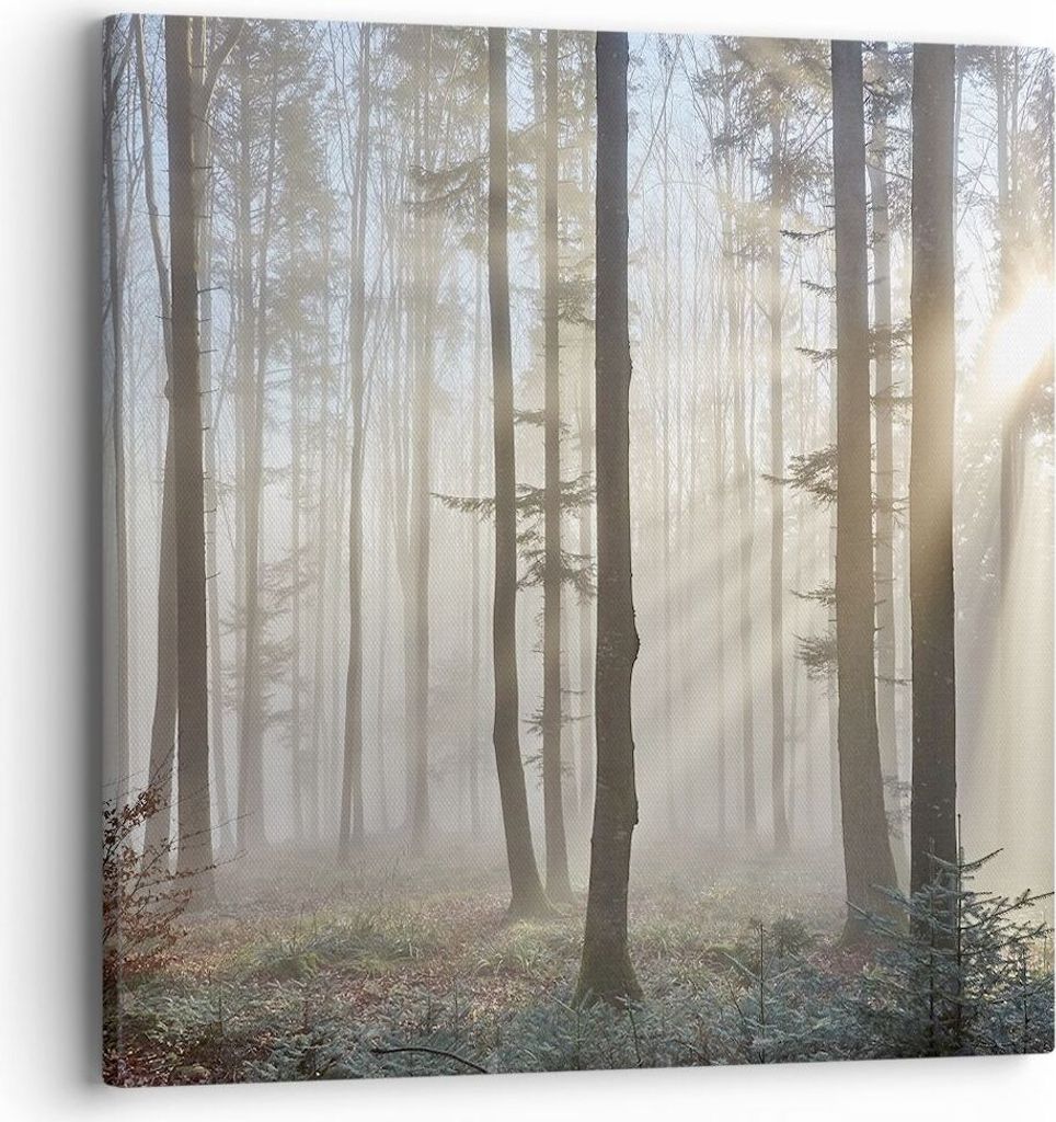 Bild auf Leinwand - Leinwandbild - Wald Baum Natur - 40x40cm - Wand Bild - Wanddeko - Wandbilder - Leinwanddruck - Bilder - Kunstdruck - Wanddekora...