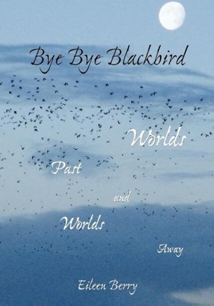 Bye Bye Blackbird
