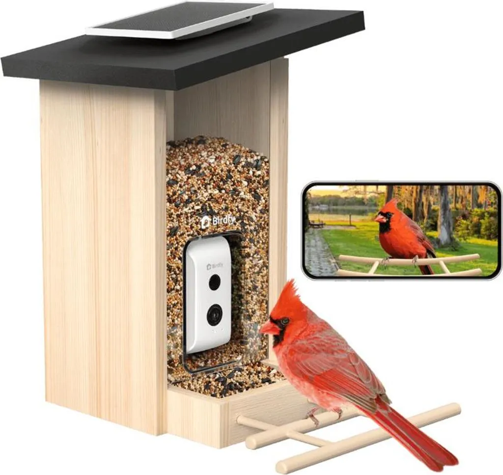 Identifier les Oiseaux Automatiquement avec la Mangeoire Birdfy AI