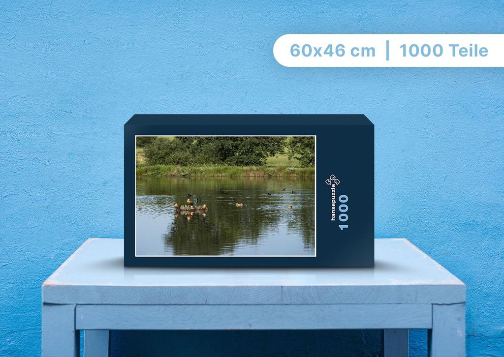 hansepuzzle 96933 - Enten im Teich Puzzle, 1000 Teile, Tierwelt, 60,0 x 46,0cm mit hochwertiger Aufbewahrung, Kartonbox & Beutel