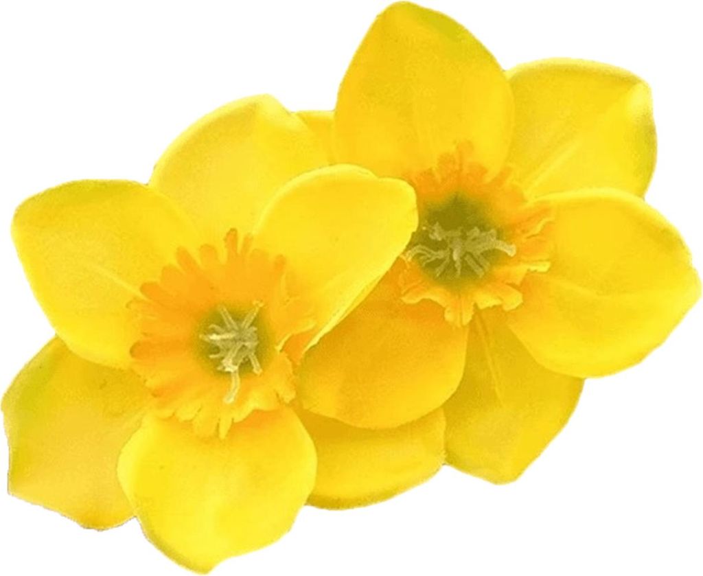 Haarspangen für Damen, große Haarnadeln mit Doppelblumen-Dekor an der Seite, keine Haarschäden, Haarnadeln aus Kunststoff, Haar-Accessoire