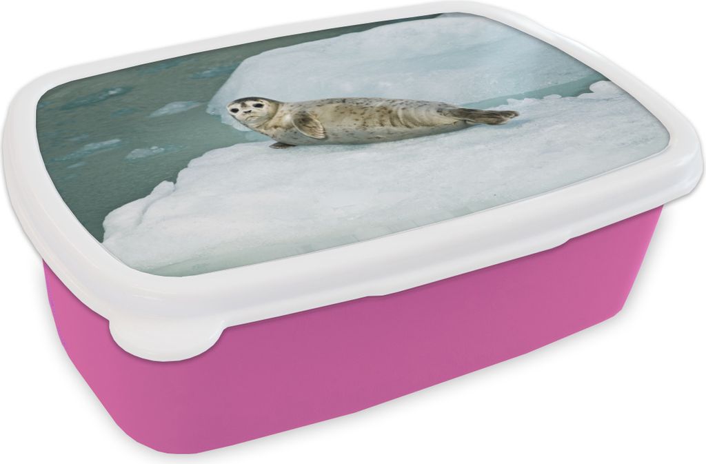 KitchenYeah Lunchbox Brotzeit Brotdose 17x11 cm Robbe - Meer - Eis Kinder Brotzeitdose - Lunchpaket - Brotkasten - Sandwich Box