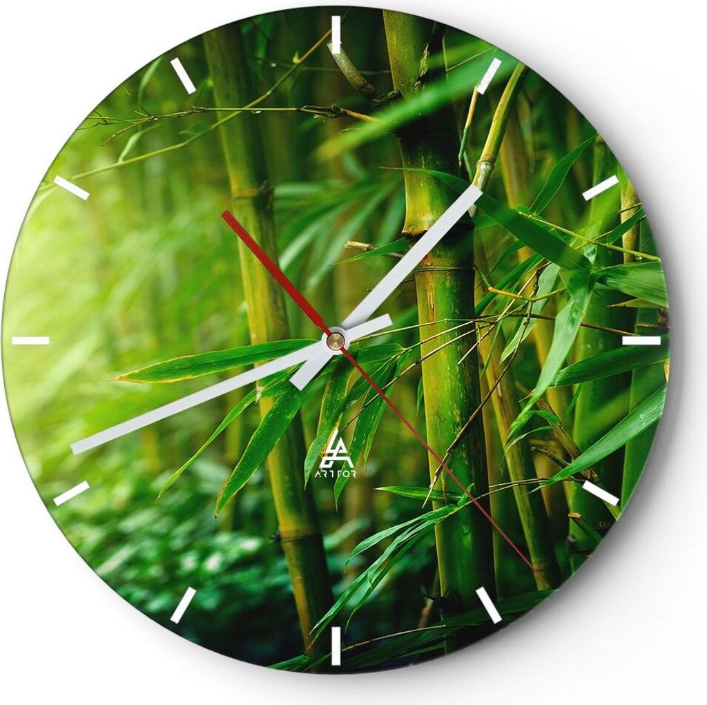 Wanduhr - Rund - Glasuhr - Bambus Pflanze - 40x40cm - Schleichendes Uhrwerk - Lautlos - zum Aufhängen bereit - Dekoration Modern - Wanddekoration ...