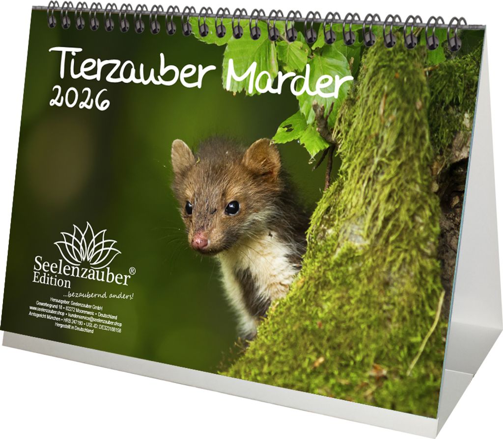 Tierzauber Marder DIN A5 Tischkalender für 2026 Wald Natur Baum - Seelenzauber