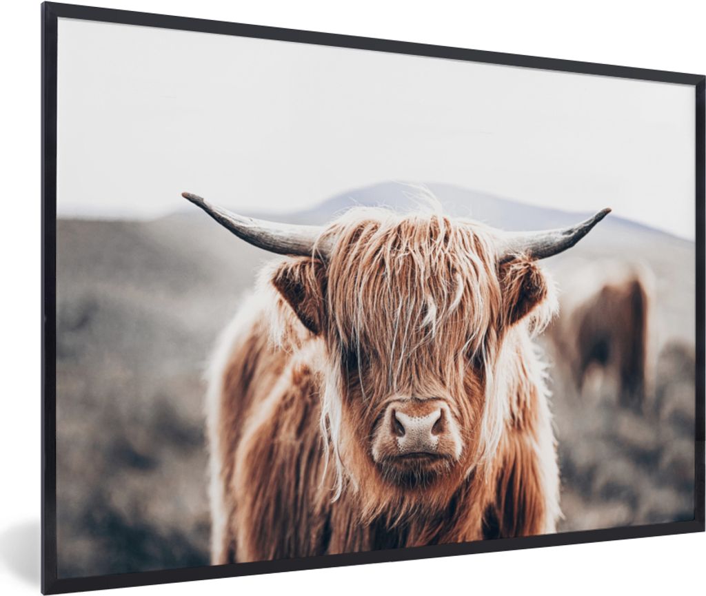 MuchoWow Gerahmtes Poster Schottischer Highlander - Berg - Hoorn 30x20 cm - Poster mit Schwarzem Bilderrahmen Wandposter Rahmen Foto Bilder - Kun...