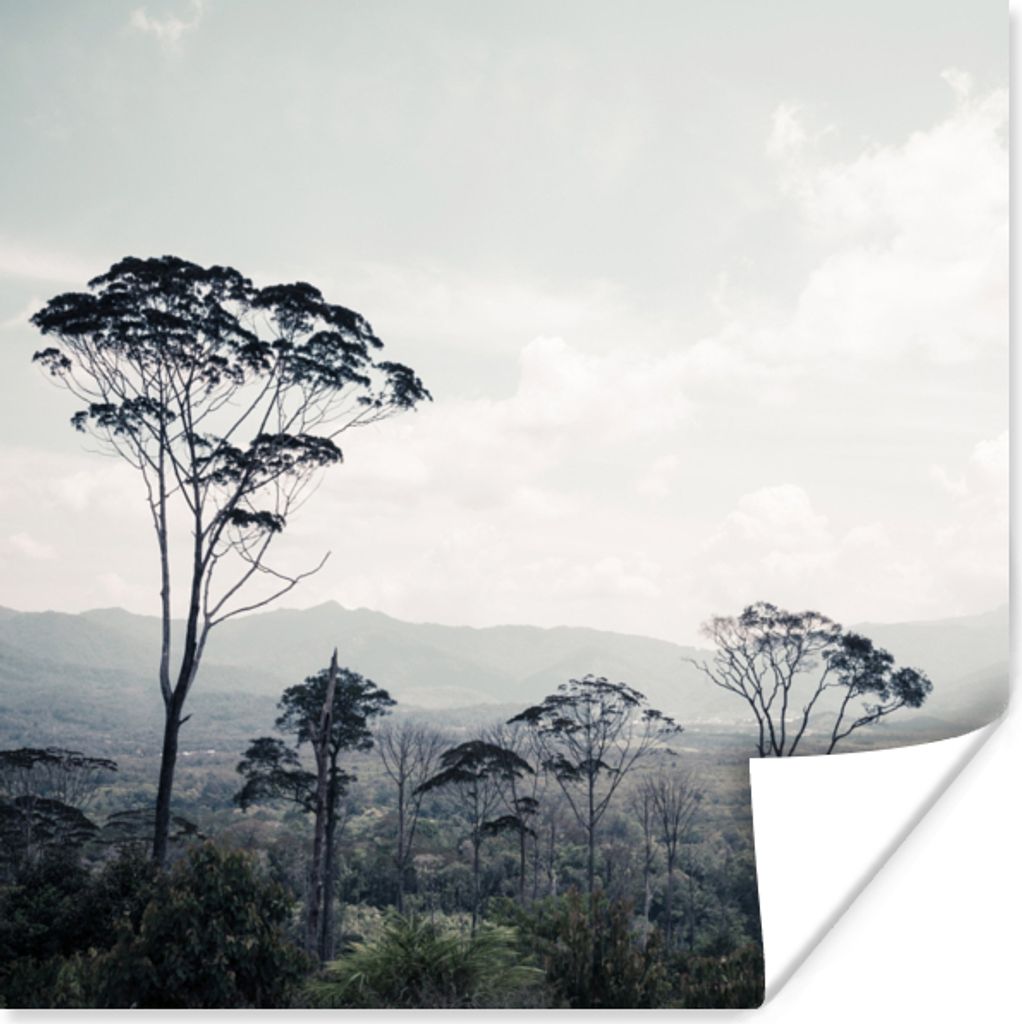 MuchoWow Poster Bäume - Luft - Natur 30x30 cm - Wandposter - Printing