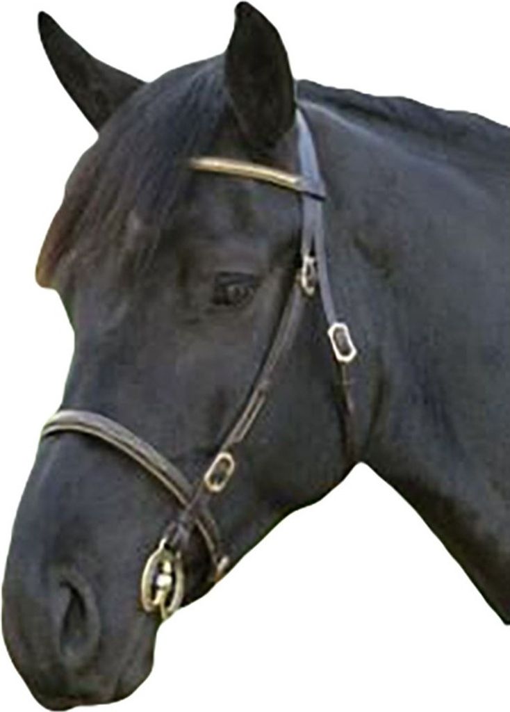 Blenheim - Zaumzeug, Stirnband, Leder ER582 (Shetland-Pony) (Schwarz)