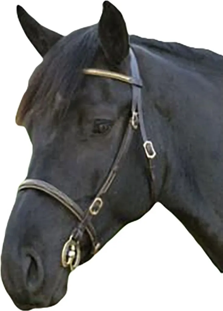 Bridon Blenheim ER582 cuir noir : fini les frottements en taille Cob