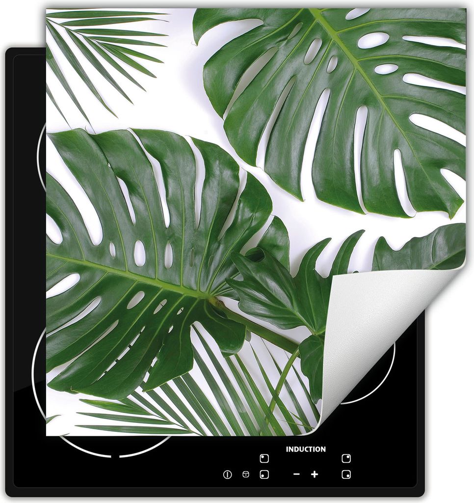 DarHaus Herdabdeckplatte 50x52 cm Anti Rutsch Matte Aufrollbar, grün - Monstera