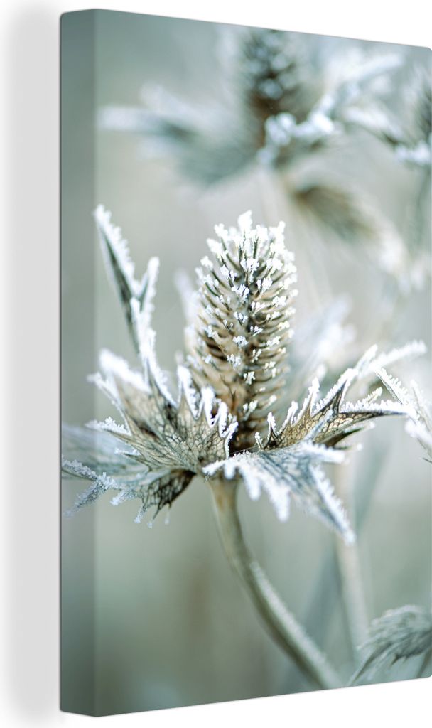 OneMillionCanvasses - Leinwandbilder - 90x140 cm, Blume - Grün - Eiscreme, Wandbilder Kunstdruck Wanddekoration - Wandschmucke - Schlafzimmer