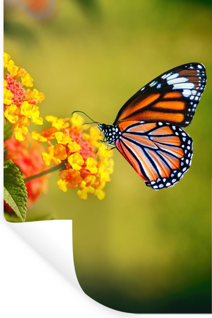 MuchoWow Wandtattoo Wandsticker Wandaufkleber Schmetterling - Insekten - Blumen - Gelb 40x60 cm Selbstklebend und Repositionierbar - Wierderverwe...