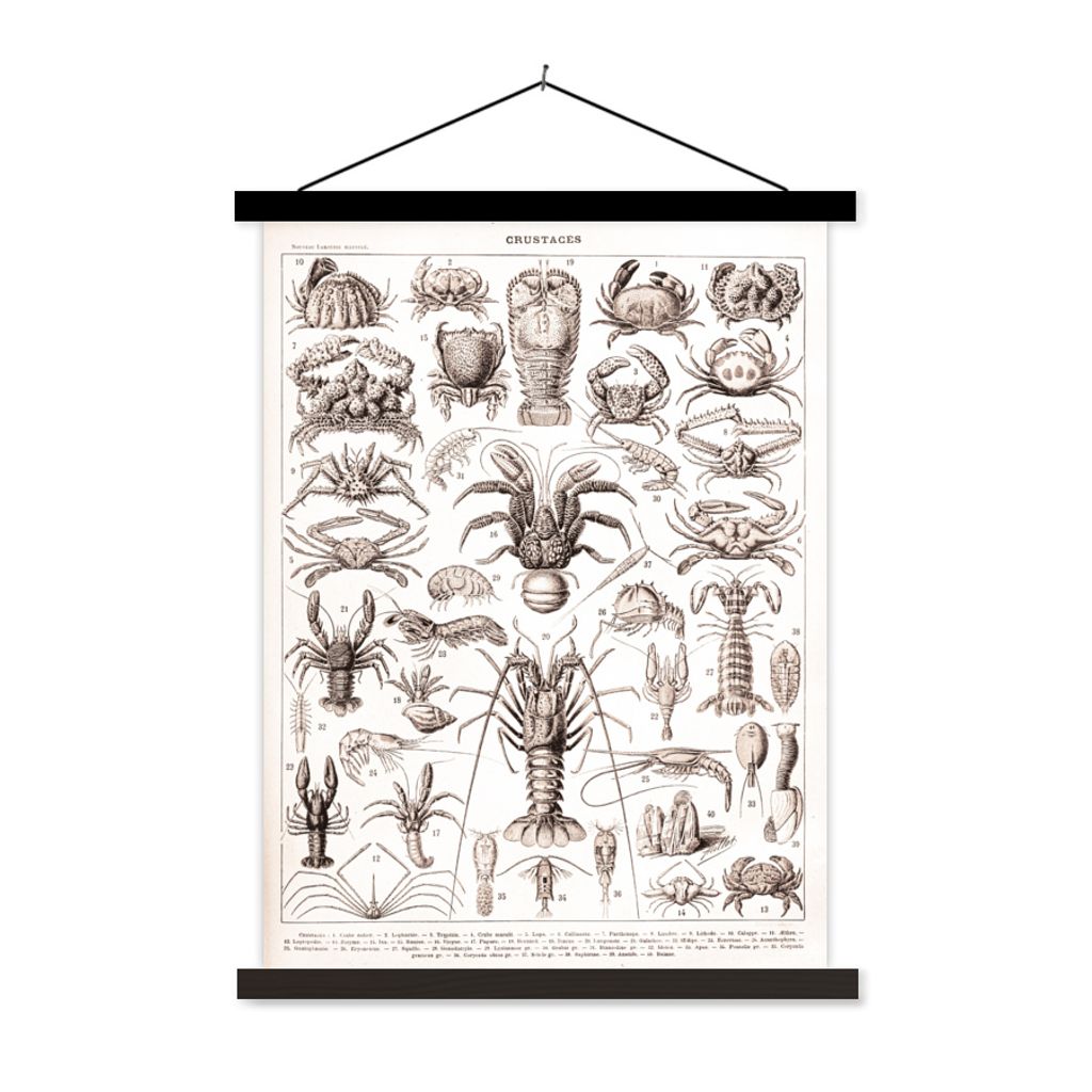 MuchoWow Textilposter Meerestier - Hummer - Schwarz - Weiß 90x120 cm mit schwarzem Rahmen - Dekoration