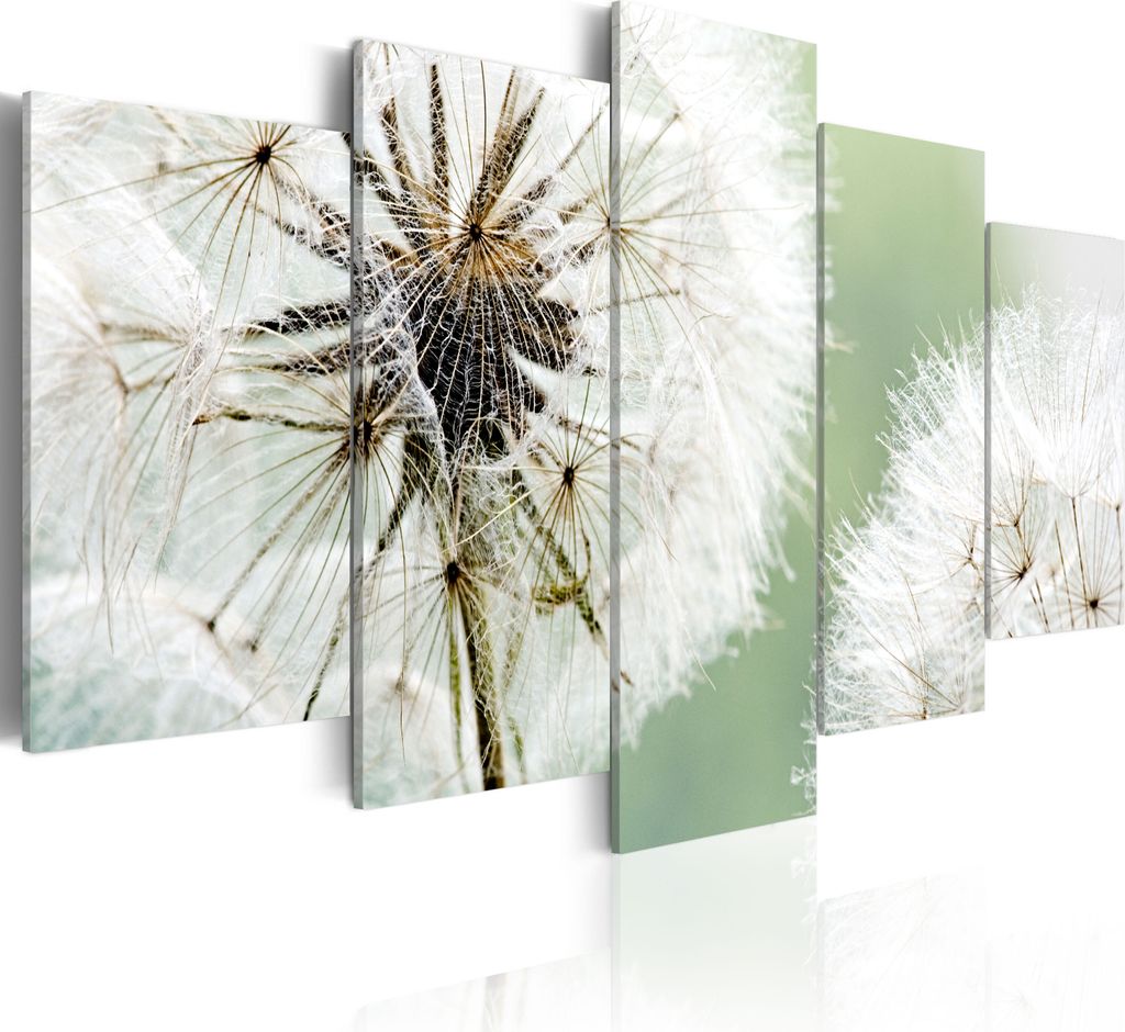 Leinwandbilder Pusteblumen 200x100 cm Vlies Leinwandbild 5 tlg Kunstdruck modern Wandbilder XXL Wanddekoration Design Wand Bild - Blumen Natur Blum...