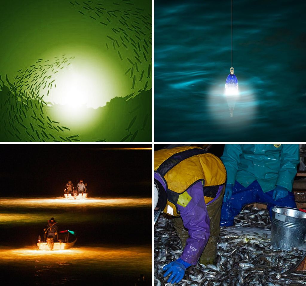 Wasserdichte Unterwasser-LED-Angelköder, leichte Nachtfische