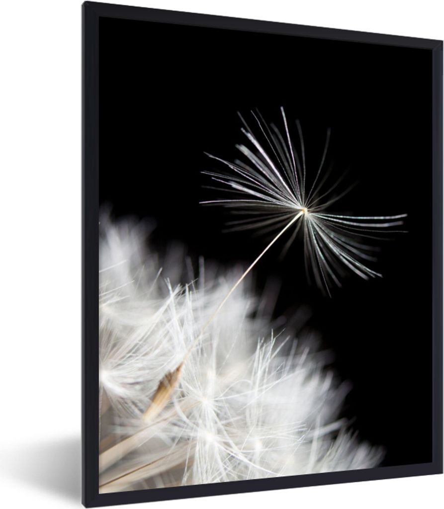MuchoWow Gerahmtes Poster Blume - Löwenzahn - Pflanze 60x80 cm - Poster mit Schwarzem Bilderrahmen Wandposter Rahmen Foto Bilder - Premium - Wan...