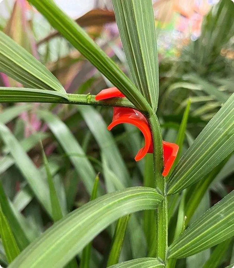 Lot de 30 tuteurs pour jardin en acier à former noir pour plantes