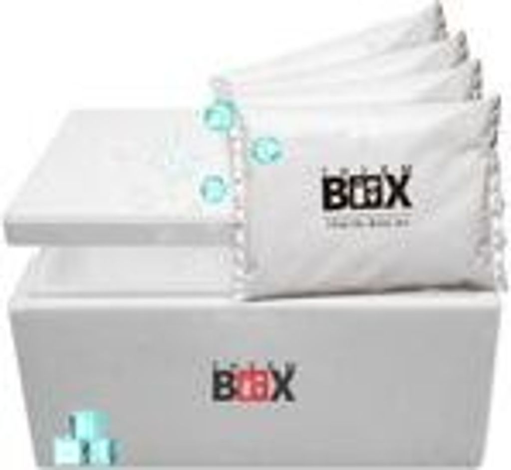 THERM BOX Modularbox 31M mit 4x Kühlakku für Kühlbox 31L Innen: 49x30x20cm Transportbox Thermobehälter Wiederverwendbar