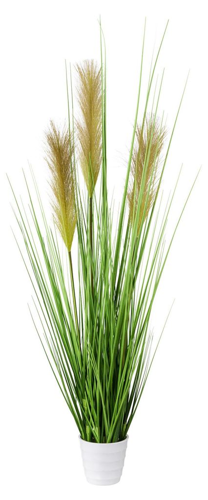 CREATIV green künstlicher großer Grasbusch 80 cm in weißem Produktbild 