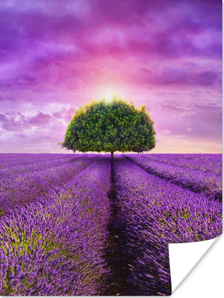 MuchoWow Poster Lavendel - Baum - Lila - Wolken 120x160 cm - Wandbilder