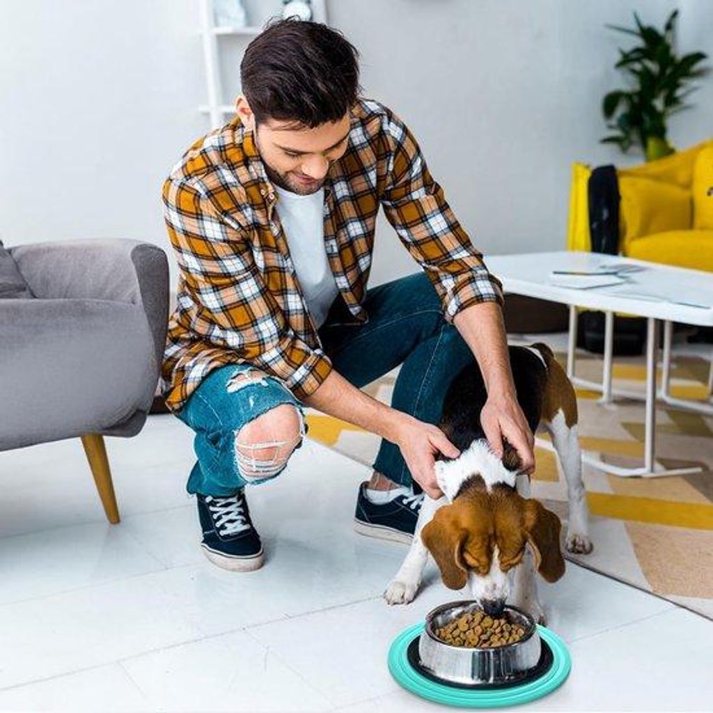 4-teilig Siliconen Hunde- und Katzenfuttermat für Wasserfestigkeit und Haustierbeschäftigung, 24 cm, Rund, 4 Farben, Waschmaschinetauglich