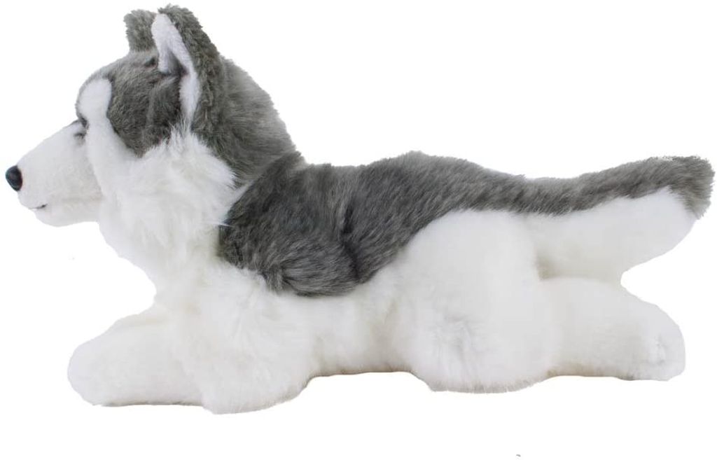 Kuscheltier Husky liegend 25 cm Teddys Rothenburg Plüschtier Hund 