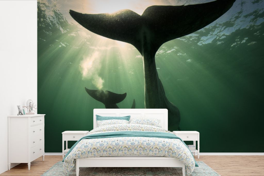 MuchoWow Fototapete für Wohnzimmer oder Schlafzimmer Wandtapete Vinyl Motivtapete Delfin - Wasser - Blau - 525x350 cm - Das Hintergrundbild
