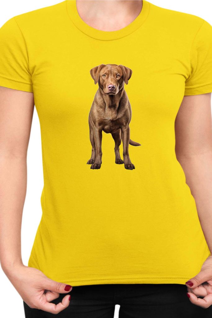 Damen T-Shirt Dogs Breeds Chesapeake Bay Retriever Dog Breed 005, Lady XS / Gelb