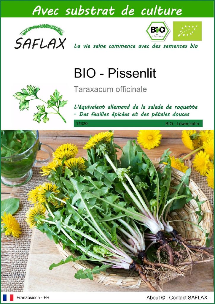 SAFLAX  -- Pissenlit - 400 graines - Avec substrat - Image du produit 