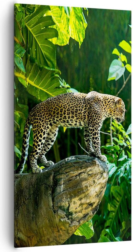 Bild auf Leinwand - Leinwandbild - Einteilig - Dschungel Leopard Panther - 65x120cm - Wand Bild - Wanddeko - Wandbilder - Leinwanddruck - Bilder - ...