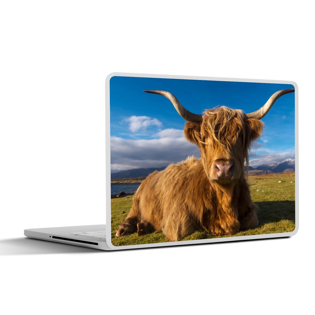 MuchoWow Laptop Aufkleber Sticker Cover Schottische Highlander - Tiere - Gras 25x18 cm - Laptop-Deko