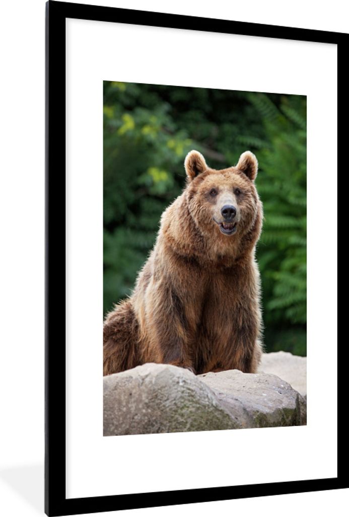 MuchoWow MuchoWow Gerahmtes Poster Wald - Bär - Steine 60x90 cm - Poster mit zchwarzem Bilderrahmen - Dekoration - Wandposter Wohnzimmer - Hoc...