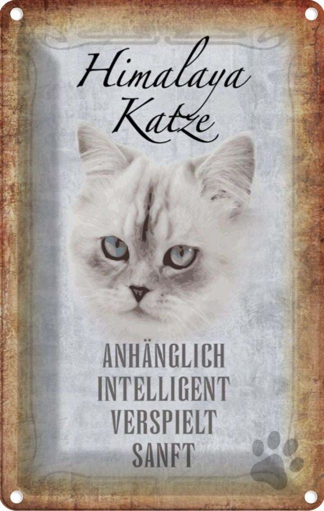 vianmo Blechschild 18x12 cm Himalaya Katze sanft Tier Produktbild 