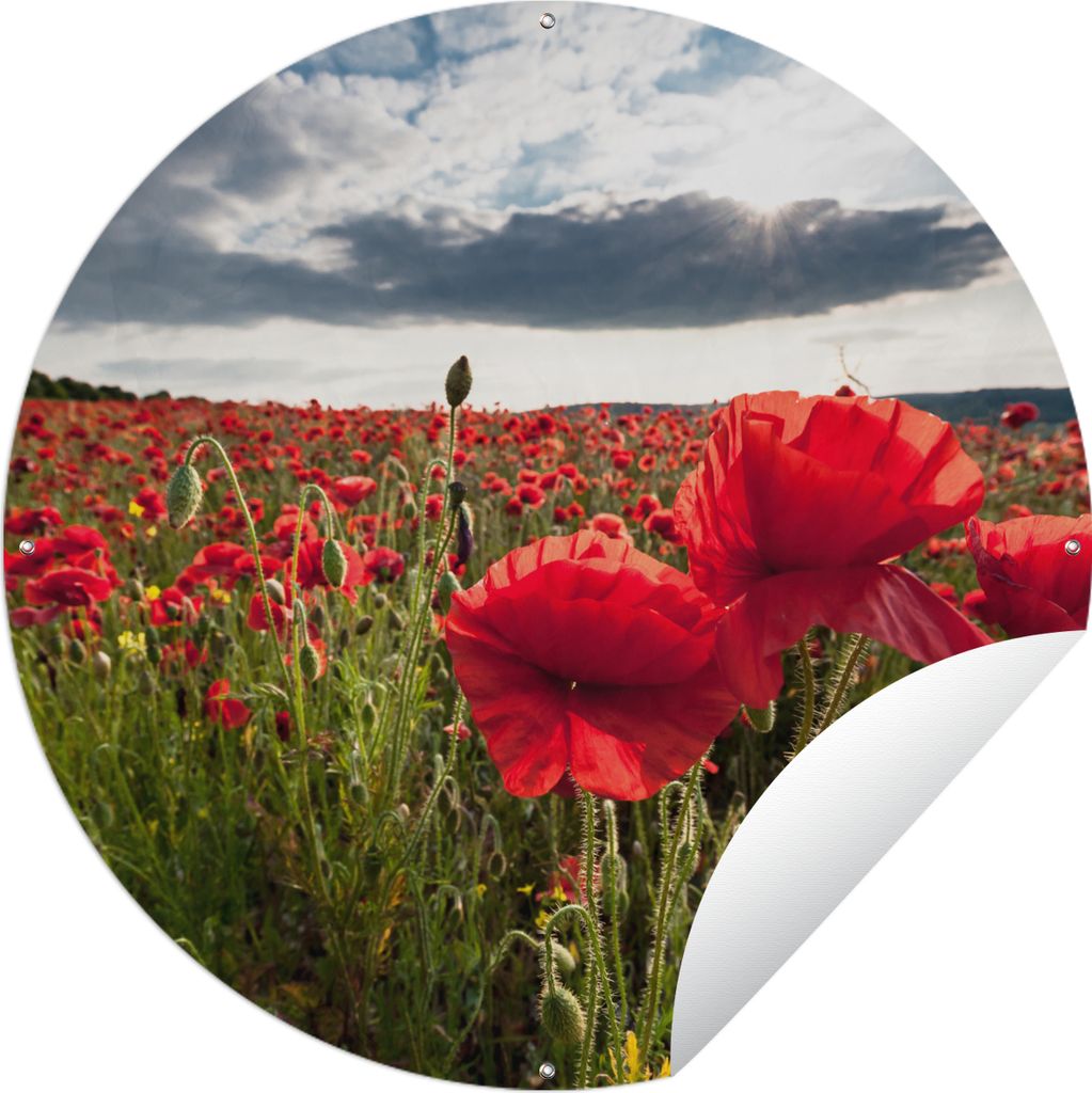 MuchoWow Gartenposter Outdoor-Poster Rund Mohnblumen vor einem dramatischen, stürmischen Himmel Ø 60 cm Gartendeko Rundes Poster draußen