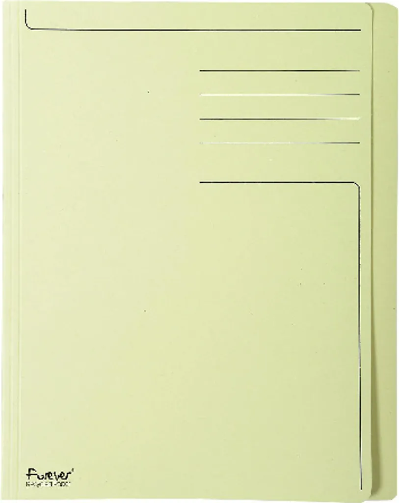 Chemises carton 280g Forever A4 Jaune Exacompta 441005E Haute Qualité