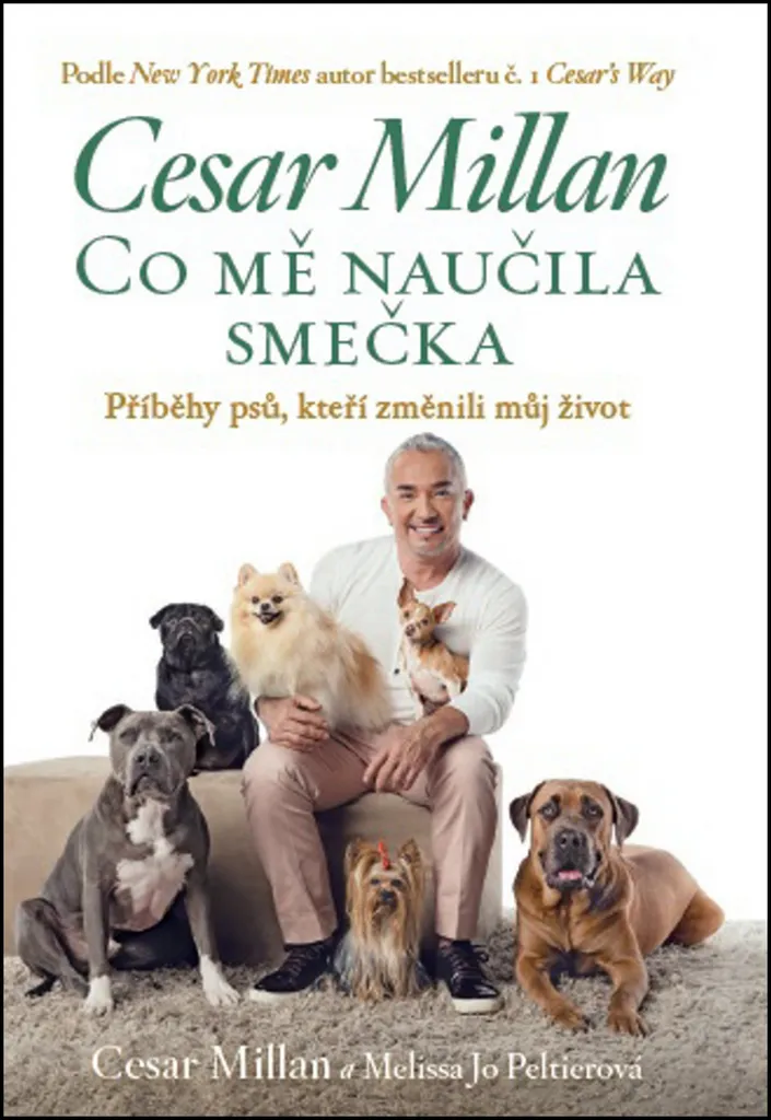 Comprendre son Chien avec Co mě naučila smečka de Cesar Millan Illustré