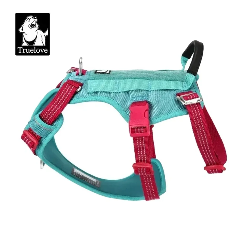 Harnais anti-fugue pour chien bleu piscine réglable taille M 56-69cm