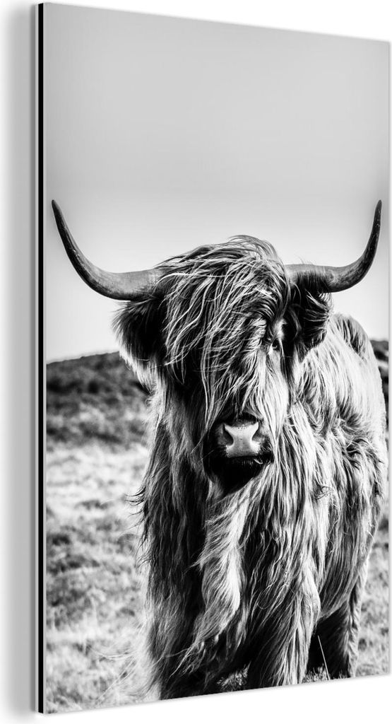 MuchoWow Wanddekoration Metall Metallbild Wandkunst 40x60 cm Scottish Hochlandrind - Schwarz - Weiß MuchoWow Aluminium Gemälde - Wanddekoration a...