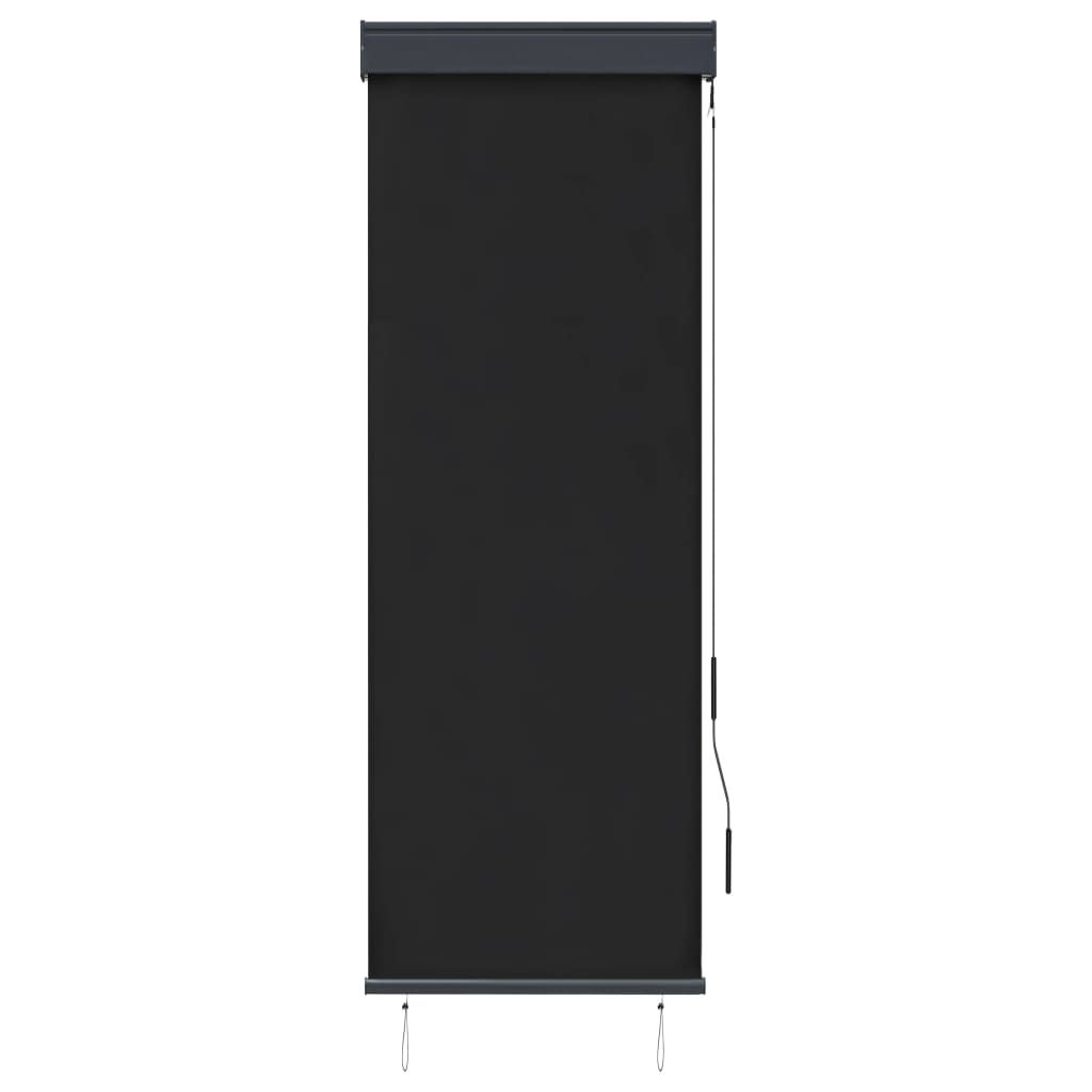 vidaXL Tenda a rullo per esterni 60 x 250 cm antracite Immagine del prodotto 