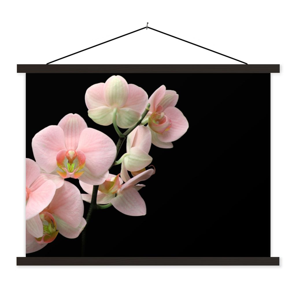 MuchoWow Textilposter Orchidee - Blumen - Rosa - Stilleben - Flora 40x30 cm mit schwarzem Rahmen - Dekorationen