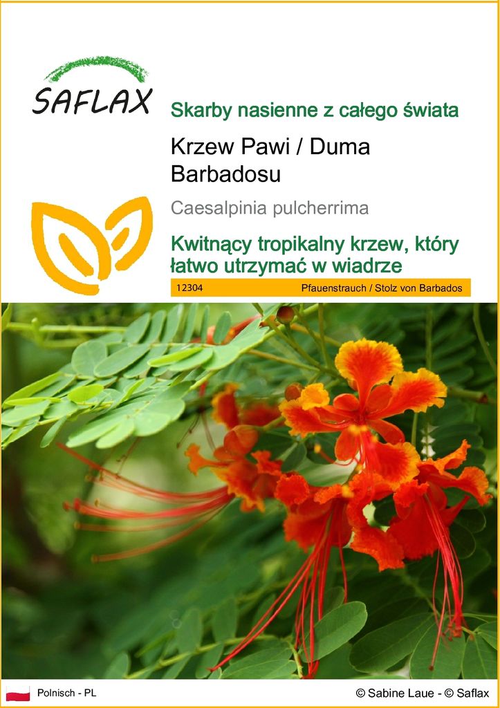 SAFLAX - Krzew Pawi / Duma Barbadosu - 10 Nasiona - Zdjęcie produktu 