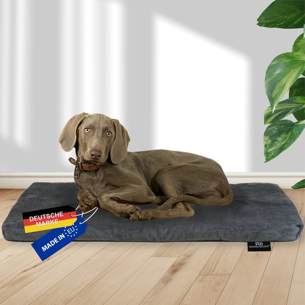 Rohrschneider RS 22353 Tierkissen Plüsch – Liegekissen GR.3 Grau