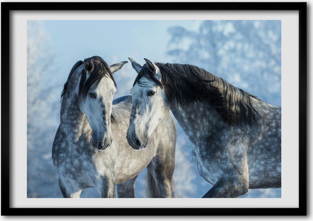 Bild - Bilder - Bilderrahmen - 70 cm x 50 cm - MDF-Rahmen, Wandkunst Schimmel Winter