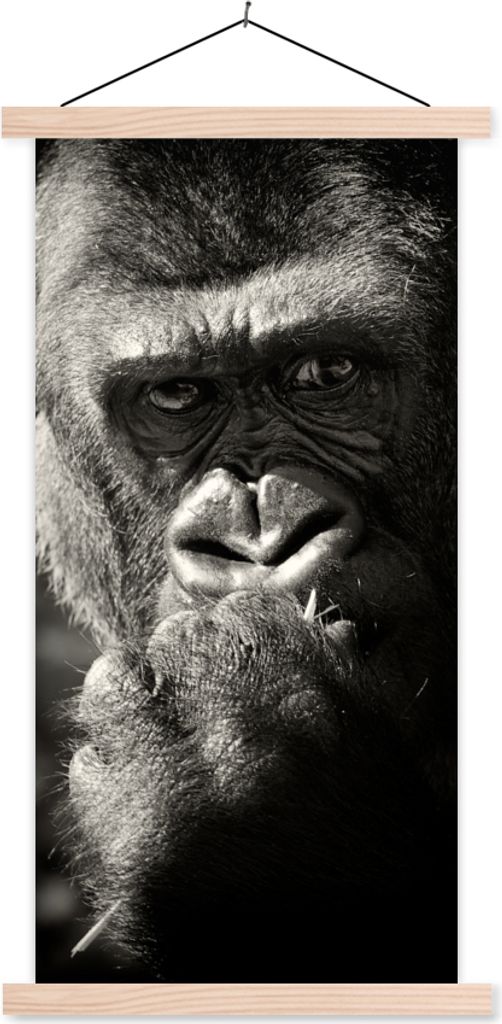 MuchoWow Textilposter Gorilla auf schwarzem Hintergrund in Schwarz und Weiß 60x120 cm mit holzfarbenen Rahmen - Holz