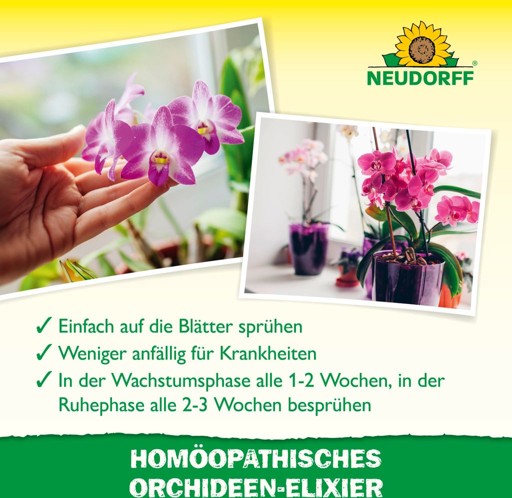 entgiften mit aloe vera DR. SCHELLER SANFTES ALOE VERA REINIGUNGSGEL I Mildes Waschgel